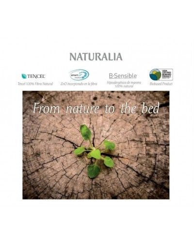 Funda almohada SMARTCEL TENCEL impermeable transpirable 1213-14 Granate 