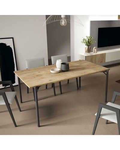 Mesa de comedor moderna diseño D14 - BoCubi